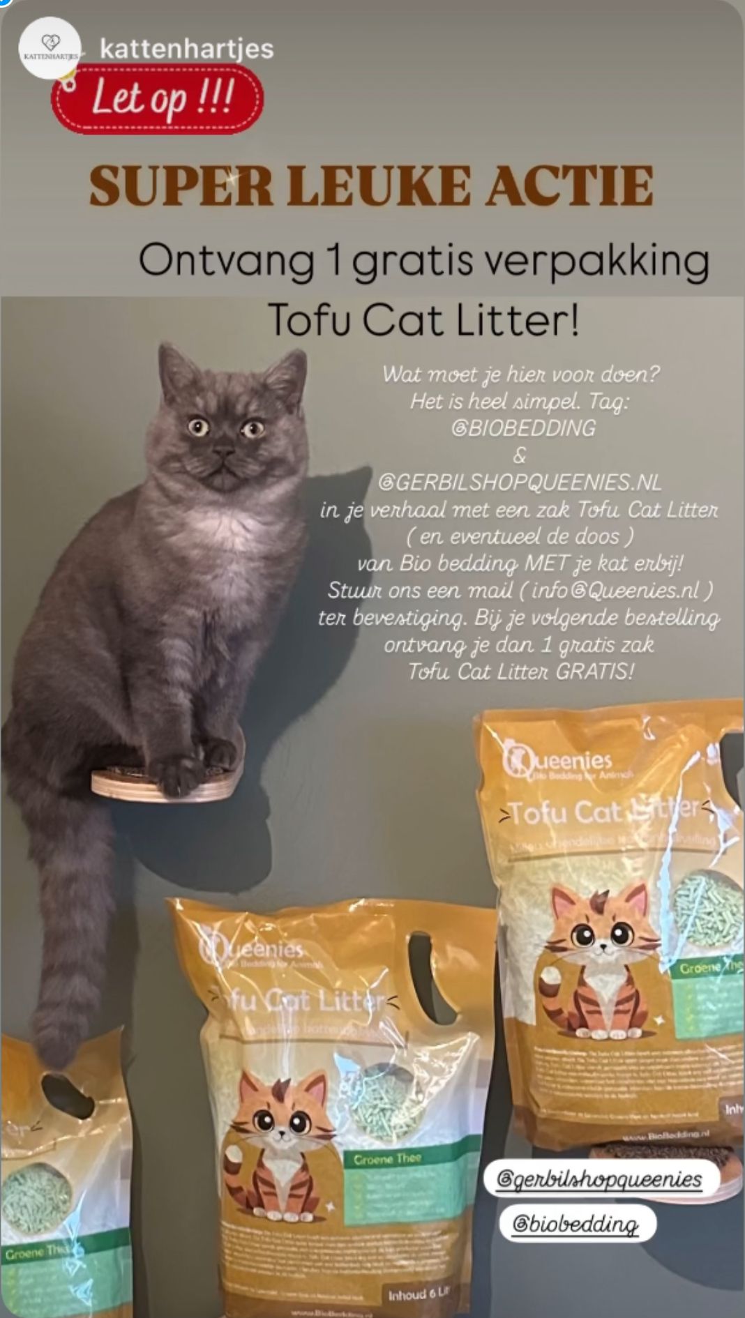 Groene thee Tofu Cat litter